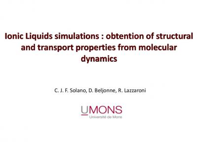 ILs Simulations Seminars